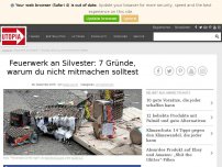 Bild zum Artikel: Feuerwerk an Silvester: 7 Gründe, warum du nicht mitmachen solltest