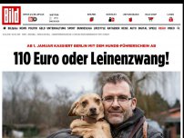Bild zum Artikel: Hunde-Führerschein ab 1.1. - 110 Euro oder Leinenzwang – Neues Hundegesetz