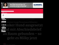 Bild zum Artikel: Düsseldorf: Kranker 'Milky' ausgesetzt und mit Abschiedsbrief an einen Baum gebunden
