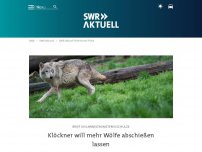 Bild zum Artikel: Klöckner will mehr Wölfe abschiessen