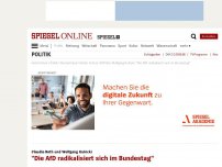 Bild zum Artikel: Claudia Roth und Wolfgang Kubicki: 'Die AfD radikalisiert sich im Bundestag'