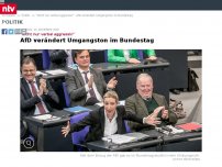 Bild zum Artikel: 'Nicht nur verbal aggressiv': Bundestagsvizepräsidenten: AfD verändert Umgangston