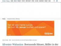 Bild zum Artikel: Silvester-Wahnsinn: Brennende Häuser, Böller in der Kapuze und zitternde Hunde