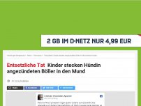 Bild zum Artikel: Entsetzliche Tat: Kinder stecken Hündin angezündeten Böller in den Mund