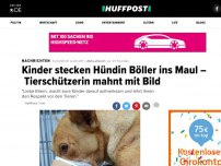 Bild zum Artikel: Kinder stecken Hündin Böller ins Maul – Tierschützerin mahnt mit Bild