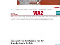 Bild zum Artikel: Tier stirbt: Mann wirft Hund in Mülheim von der Schloßbrücke in die Ruhr