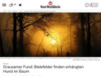 Bild zum Artikel: Bielefeld: Grausamer Fund: Bielefelder finden erhängten Hund im Baum