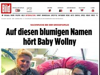 Bild zum Artikel: familienzuwachs - Auf diesen blumigen Namen hört Baby Wollny