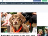 Bild zum Artikel: Mülheim: Mann wirft Hund von Brücke in den Tod - Polizei jagt den Tierhasser