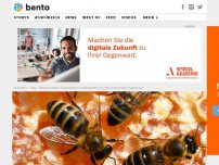 Bild zum Artikel: Ein Volksbegehren in Bayern soll jetzt die Bienen retten – doch es braucht sehr viele Unterstützer