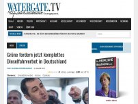 Bild zum Artikel: Grüne fordern jetzt komplettes Dieselfahrverbot in Deutschland