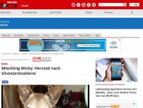 Bild zum Artikel: Berlin - Mischling Micky: Herztod nach Silvesterknallerei