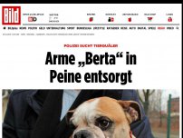 Bild zum Artikel: Polizei sucht Tierquäler - Arme „Berta“ in Peine entsorgt