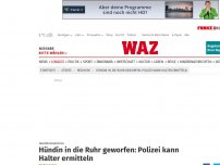 Bild zum Artikel: Fahndungserfolg: Hündin in die Ruhr geworfen: Polizei kann Halter ermitteln
