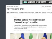 Bild zum Artikel: Italien: Matteo Salvini will mit Polen ein 'neues Europa' schaffen
