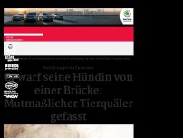 Bild zum Artikel: Er warf seine Hündin von einer Brücke in Mülheim an der Ruhr: Mutmaßlicher Tierquäler gefasst