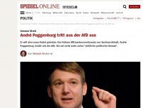Bild zum Artikel: Interner Streit: André Poggenburg tritt aus der AfD aus