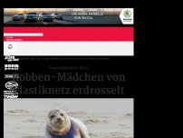 Bild zum Artikel: Unser Müll tötet Tiere: Robben-Mädchen von Plastiknetz erdrosselt