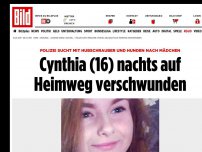 Bild zum Artikel: Polizei sucht nach Mädchen - Cynthia (16) nachts auf Heimweg verschwunden