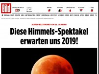 Bild zum Artikel: Super-Blutmond am 21. Januar - Diese Himmels-Spektakel erwarten uns 2019!