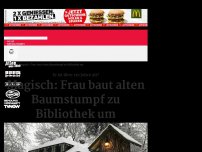 Bild zum Artikel: Magisch: Frau baut alten Baumstumpf zu Bibliothek um