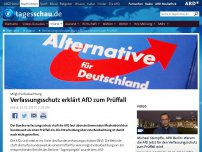 Bild zum Artikel: Verfassungsschutz erklärt AfD bundesweit zum Prüffall