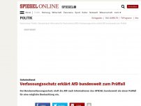 Bild zum Artikel: Geheimdienst: Verfassungsschutz erklärt AfD bundesweit zum Prüffall