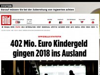 Bild zum Artikel: Offizielle Statistik - 402 Mio. Euro Kindergeld gingen 2018 ins Ausland
