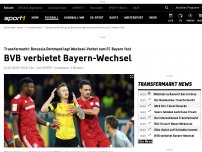 Bild zum Artikel: BVB verbietet Bayern-Wechsel