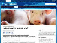 Bild zum Artikel: Hohe Feinstaubbelastung - Luftverschmutzer Landwirtschaft