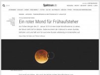 Bild zum Artikel: Totale Mondfinsternis: Ein roter Mond für Frühaufsteher