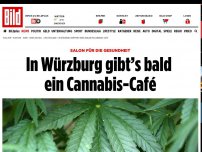 Bild zum Artikel: Salon für die Gesundheit - In Würzburg gibt es bald ein Cannabis-Café