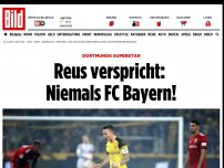 Bild zum Artikel: Dortmunds Superstar - Reus verspricht: Niemals FC Bayern!