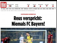 Bild zum Artikel: Dortmunds Superstar - Reus verspricht: Niemals FC Bayern!