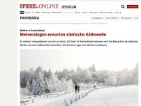 Bild zum Artikel: Wetter in Deutschland: Meteorologen erwarten sibirische Kältewelle