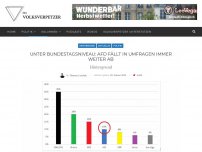 Bild zum Artikel: Unter Bundestagsniveau: AfD fällt in Umfragen immer weiter ab