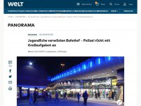 Bild zum Artikel: Jugendliche verwüsten Bahnhof - Polizei rückt mit Großaufgebot an