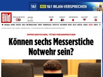 Bild zum Artikel: Flüchtlingshelfer getötet - Freispruch für Messerstecher Seyed M.