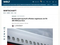 Bild zum Artikel: Bundesregierung kauft offenbar nagelneuen Jet für 280 Millionen Euro