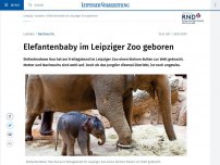 Bild zum Artikel: Elefantenbaby im Leipziger Zoo geboren