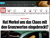 Bild zum Artikel: Diesel-Debakel - Hat Merkel uns das Chaos mit den Grenzwerten eingebrockt?
