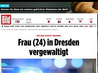 Bild zum Artikel: Polizei sucht Zeugen - Frau (24) in Dresdner Neustadt vergewaltigt