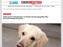Bild zum Artikel: Süßer Hund in Gelsenkirchen von Kindern brutal angegriffen: Nun herrscht traurige Gewissheit