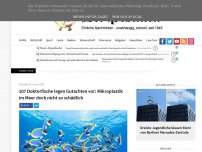 Bild zum Artikel: 107 Doktorfische legen Gutachten vor: Mikroplastik im Meer doch nicht so schädlich