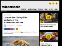 Bild zum Artikel: USA wollen Tierquäler bestrafen wie Schwerverbrecher | Männersache