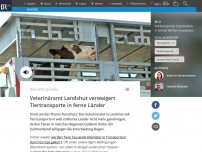Bild zum Artikel: Veterinäramt Landshut verweigert Tiertransporte in ferne Länder