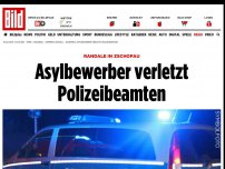 Bild zum Artikel: Randale in Zschopau - Asylbewerber verletzt Polizeibeamten