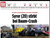 Bild zum Artikel: Schrecklicher Unfall in Dresden - Junger Mann stirbt bei Baum-Crash