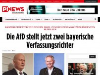 Bild zum Artikel: Kasperletheater wie bei der Wahl zum Bundestagsvizepräsidenten blieb aus Die AfD stellt jetzt zwei bayerische Verfassungsrichter