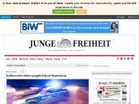 Bild zum Artikel: Asylbewerber ziehen prügelnd durch Regensburg